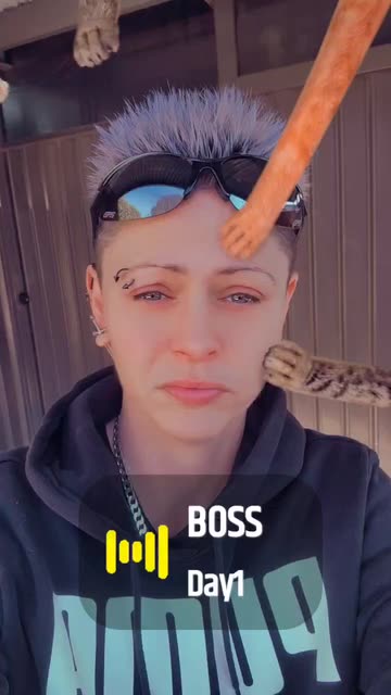 Preview for a Spotlight video that uses the Paws on Face Lens
