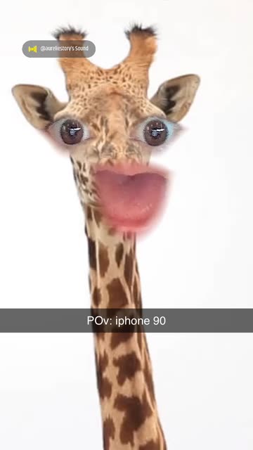 Preview for a Spotlight video that uses the Funny Giraffe 🦒 Lens
