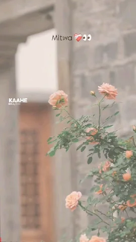 nice song - ShareChat