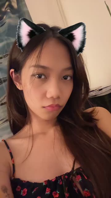 Preview for a Spotlight video that uses the cat ears Lens