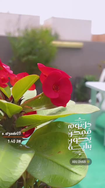 Preview for a Spotlight video that uses the Expressions Lens