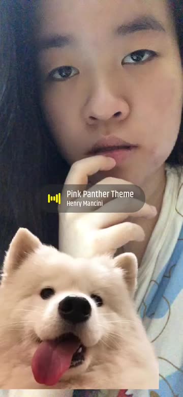 Preview for a Spotlight video that uses the Dog Selfie Lens