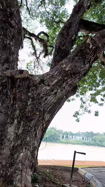 Preview for a Spotlight video that uses the scene enhancer Lens
