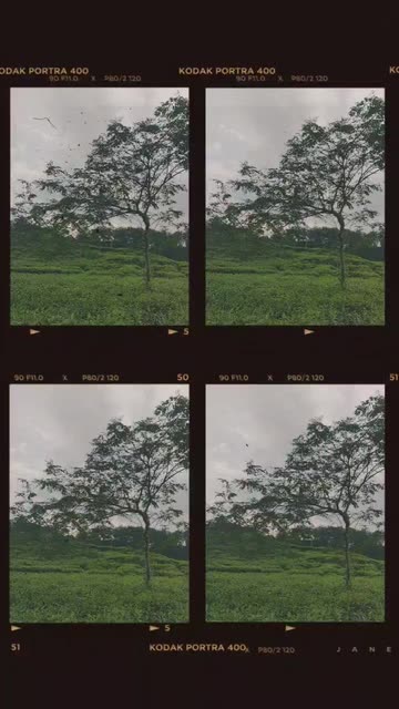 Preview for a Spotlight video that uses the Kodak Frame Lens