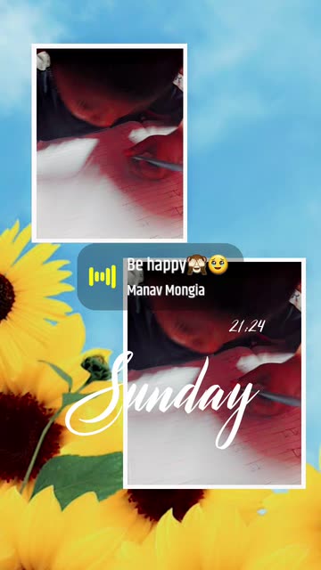 Preview for a Spotlight video that uses the Sunflowers Lens