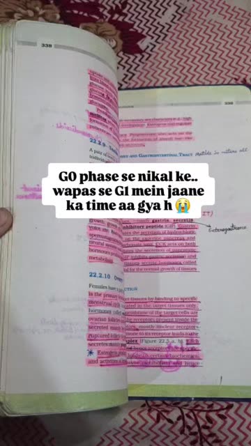 Ronak Mirza