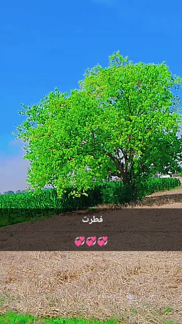 عابرُ السّبيل