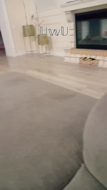 Preview for a Spotlight video that uses the cat ears Lens