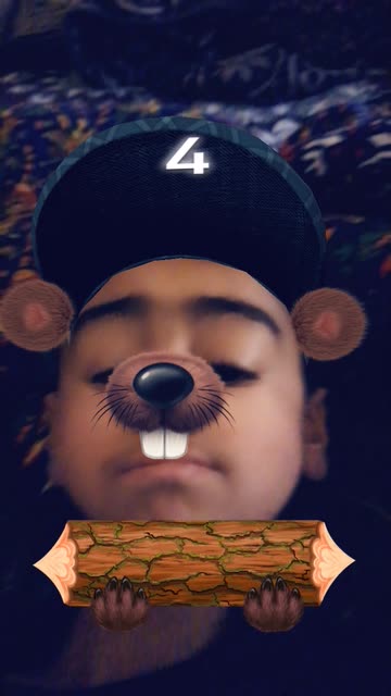 Preview for a Spotlight video that uses the Beaver Fever Lens