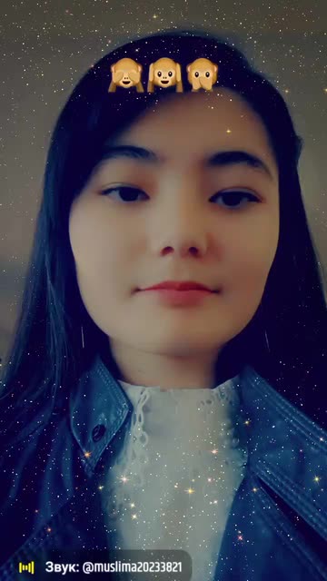 Preview for a Spotlight video that uses the Monkeys Mood Lens