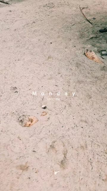 Preview for a Spotlight video that uses the These Days Lens