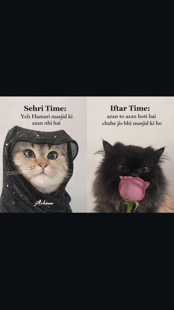 Sehri Time:iIftar Time: