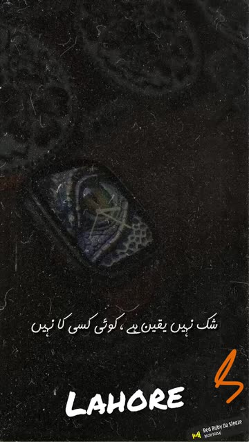 Preview for a Spotlight video that uses the Urdu Shayari R5 Lens