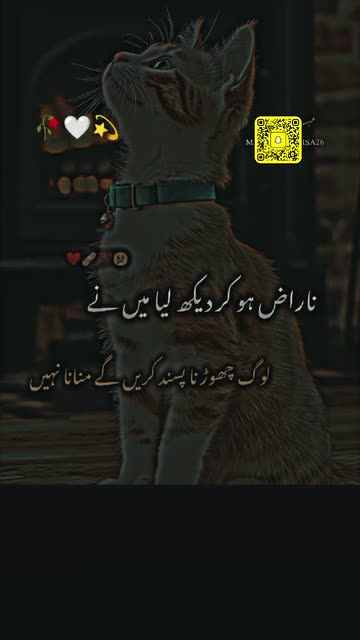 Mohd Asif