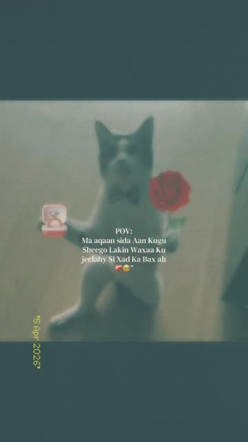 i'm using my rose toy cat Catnip Crazies Rose Cat Toy, Handmade, Organic Catnip, Cotton Yarn, Jingle  Bell, Kitty Toy main image 0