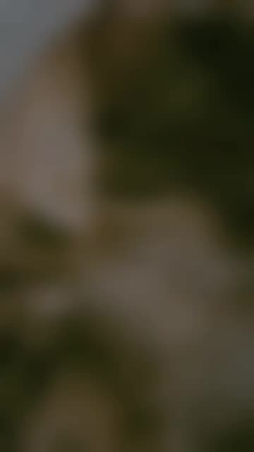 tannu_628