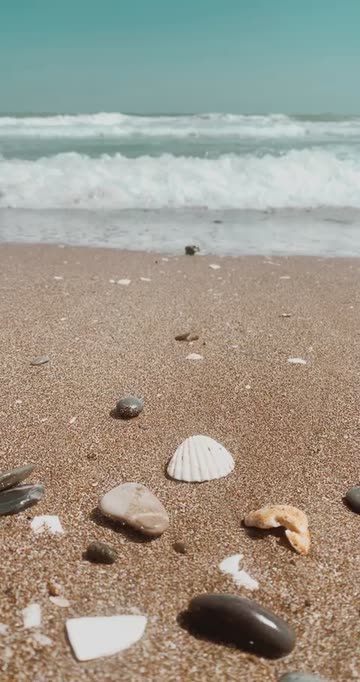 Preview for a Spotlight video that uses the beachy Lens
