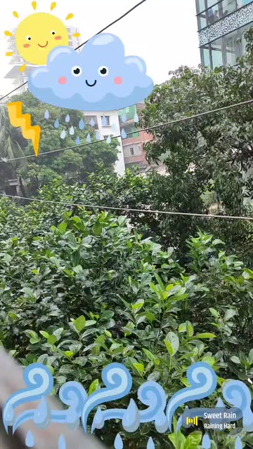 Preview for a Spotlight video that uses the Raining Lens