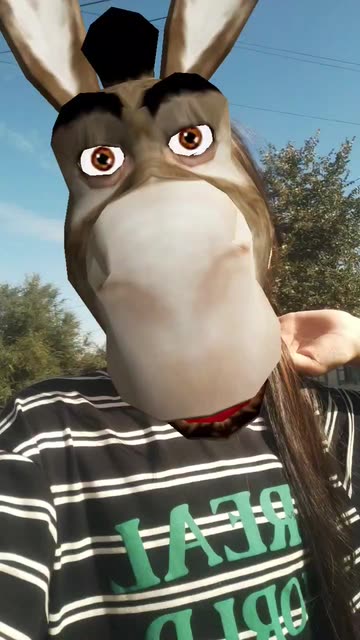 Preview for a Spotlight video that uses the Donkey Lens