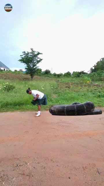 Cent Kiduku