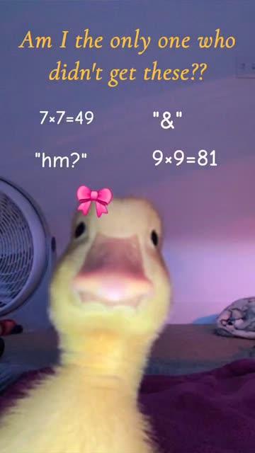 𓆩m𝓊кк𐌵𓆪