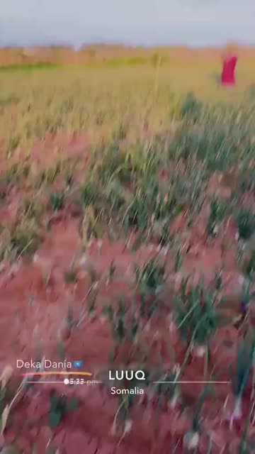 Deka Dania🇸🇴