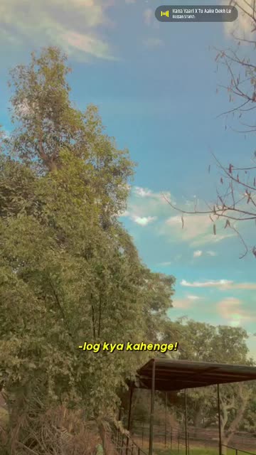 Preview for a Spotlight video that uses the urdu slangs Lens