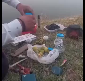 مرشد